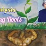 Descriptive Questions Answers from Strong Roots by APJ Abdul Kalam