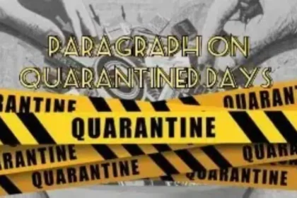 Paragraph Your Quarantine Experience in Lockdown