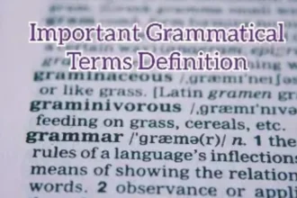 Important Grammatical Terms Definition