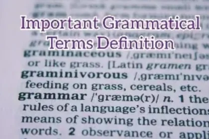 Important Grammatical Terms Definition