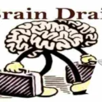 Essay on Brain Drain