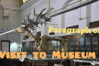 Paragraph on A Visit to Museum