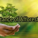 Importance of Afforestation Editor Letter