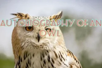 Autobiography of An Owl Enjoying The Night Paragraph