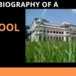 Autobiography of a school A Short Essay in 300 Words