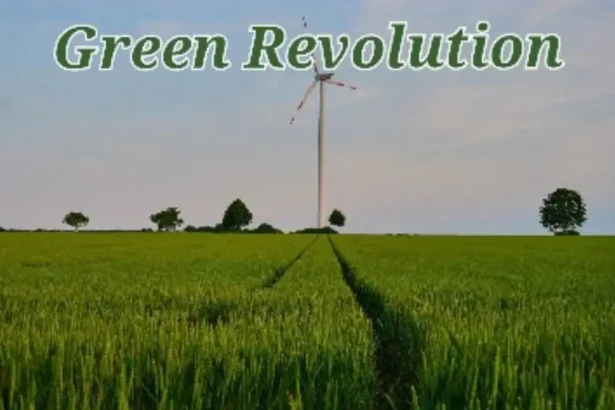 Green Revolution: Reasons, Time, Method, Results 