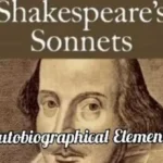 Autobiographical Elements in Shakespeare's Sonnets