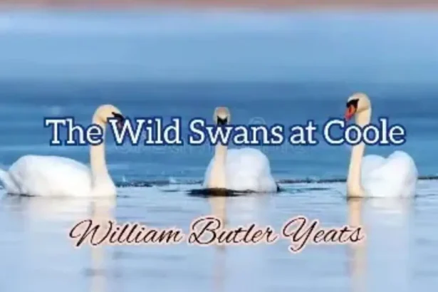 The Wild Swans at Coole Summary Questions Answers