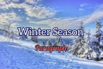 Winter Season Paragraph