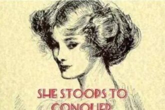 She Stoops to Conquer Summary