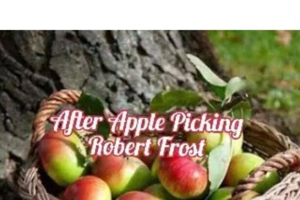 After Apple Picking Summary Theme questions Answers