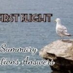 His First Flight Questions Answers