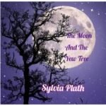 The Moon and the Yew Tree Summary Analysis