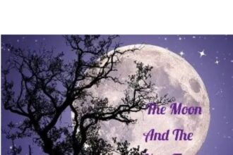 The Moon and the Yew Tree Summary Analysis