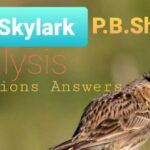 To A Skylark Poem Analysis Questions Answers
