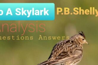 To A Skylark Questions Answers Analysis