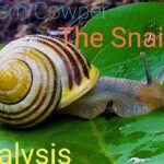 The Snail Poem Questions Answers