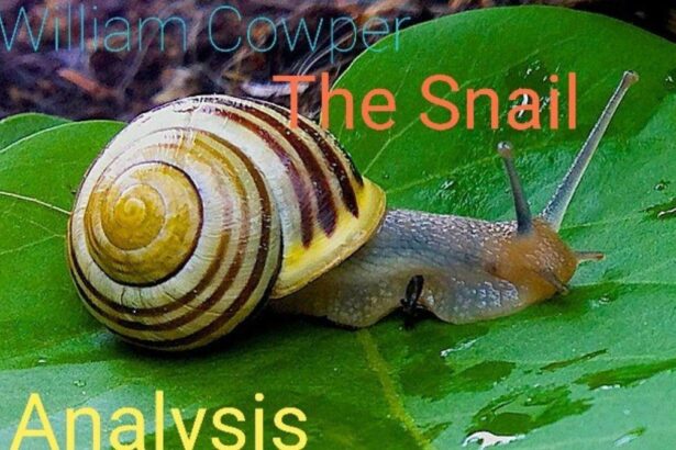 The Snail Poem Questions Answers Analysis