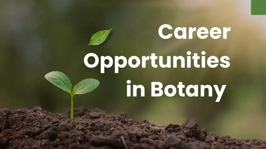 career opportunities in botany