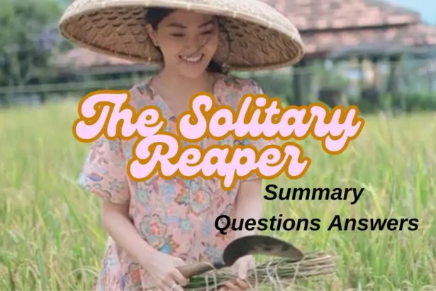 The Solitary Reaper Questions and Answers